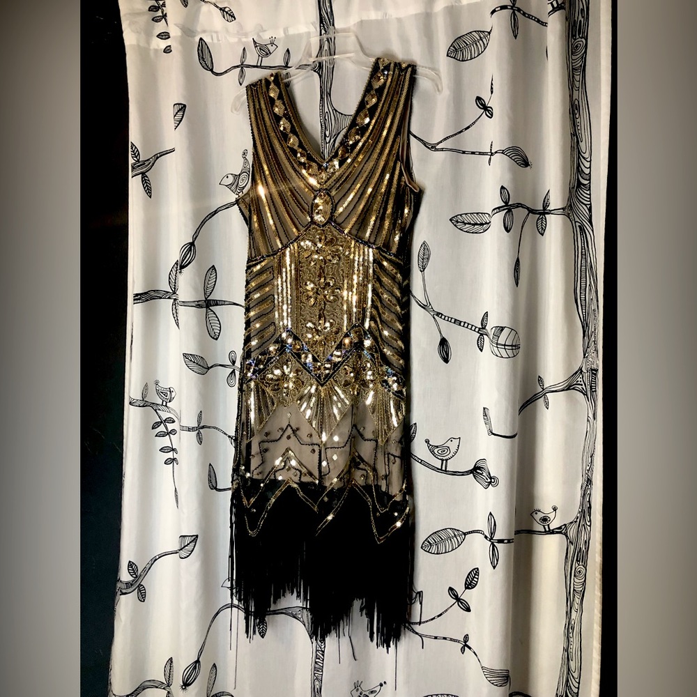 Flapper Girl, Fringe, Sequin, Costume Dress